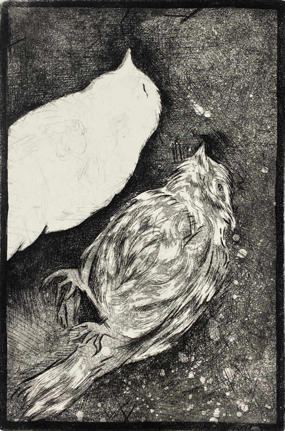Peace, 2024, Intaglio on paper, 14 x 11 in